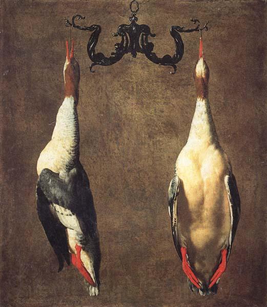 Dandini, Cesare Two Hanging Mallards